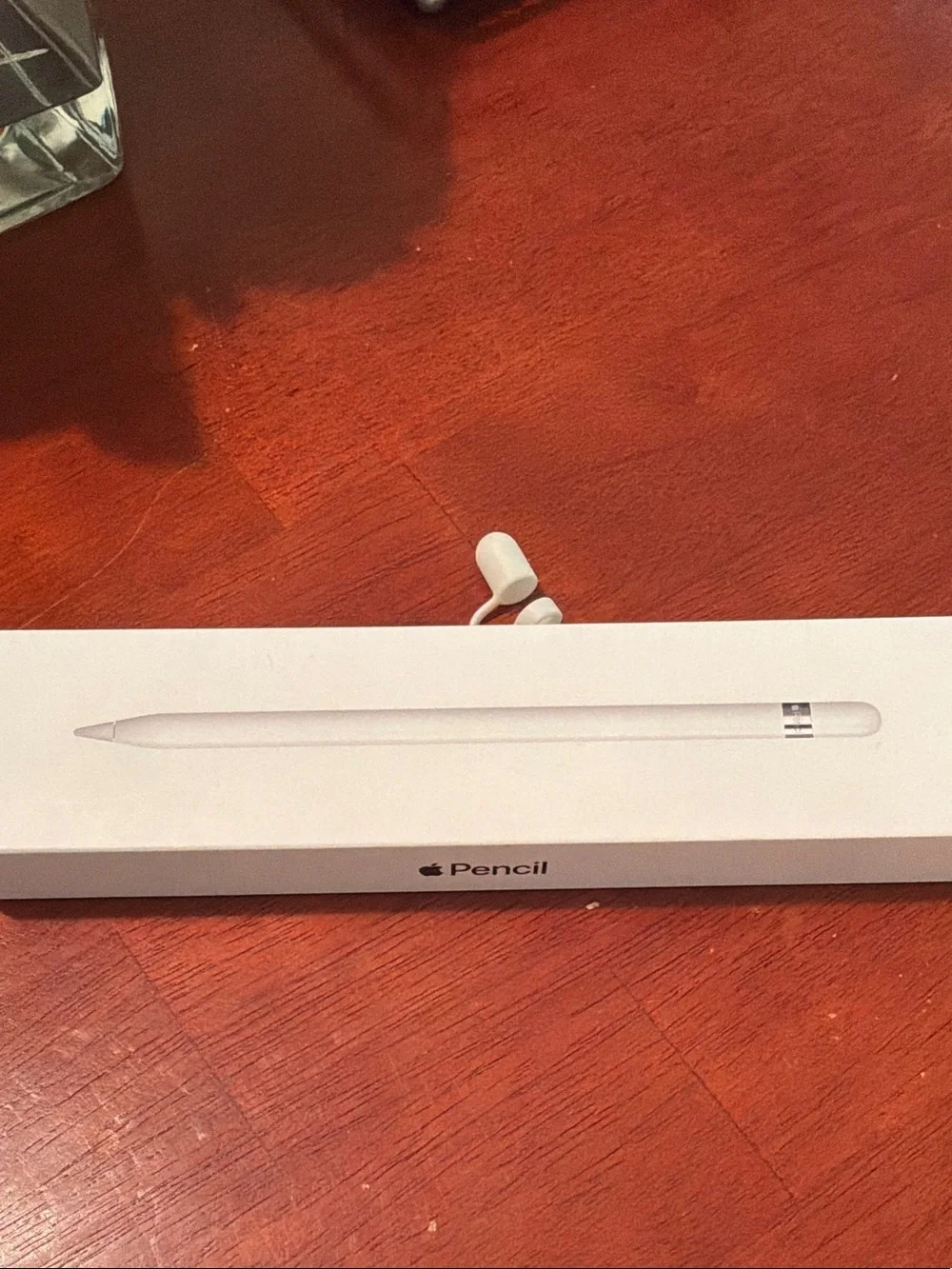 Apple Pencil (Stylus)